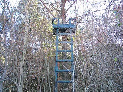 Hunting Tree Stand